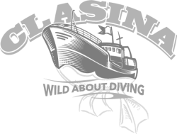 Clasina-Logo_Tint